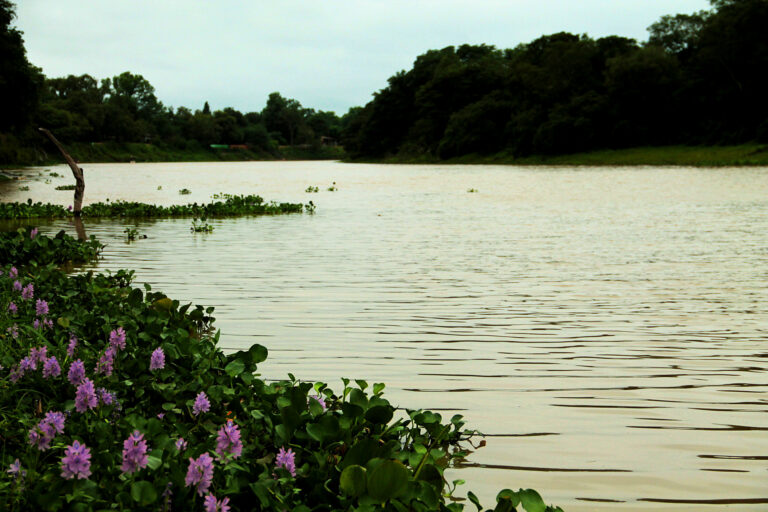 río-bermejito
